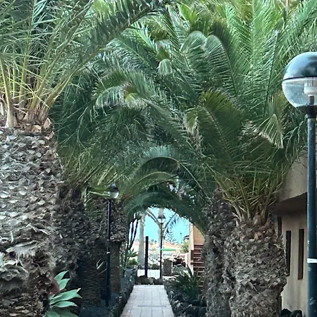 Casa Nalani 公寓 科拉雷侯